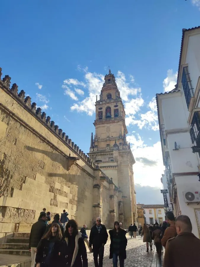 Apartamento La casa de la mimosa Córdoba